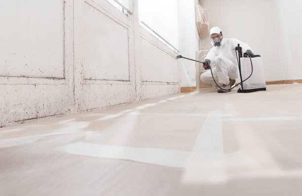 24/7 Emergency Attic Mold Remediation experts in Paisley, FL